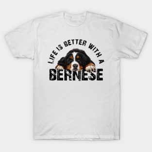 Bernese mountain dog T-Shirt